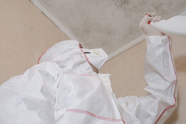 Best Office Mold Removal Services  in Dresden, OH